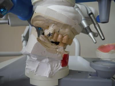 Dscf0446 rltkvd - Eugenol