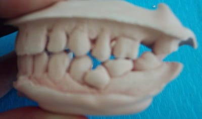 Dsci0002 cjvjuu - Eugenol