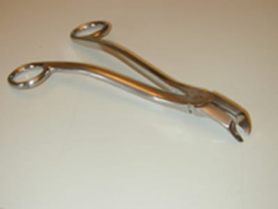 Dscn0003 f9tfxb - Eugenol