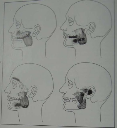 Dscn3270 v8dsbz - Eugenol