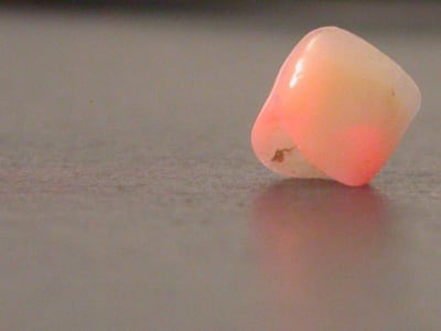 Dscn4952 osvgy7 - Eugenol