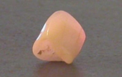 Dscn4964 x6cuxm - Eugenol