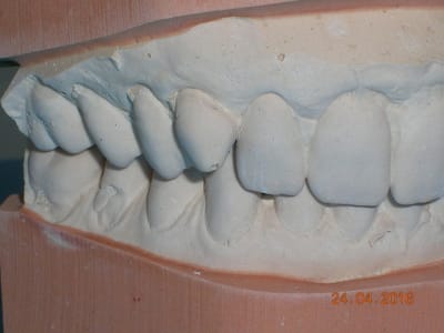 Dscn5261 e7tkyj - Eugenol