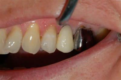 Dsc 0004 lwzzwm - Eugenol