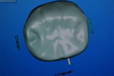 Dsc 0006 rp5cjx - Eugenol