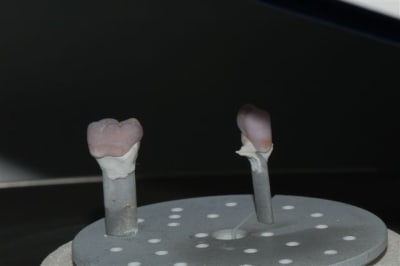 Dsc 0017 lfzw08 - Eugenol