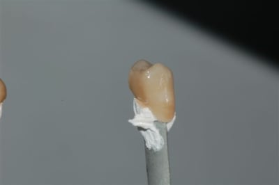 Dsc 0020 nthuhe - Eugenol