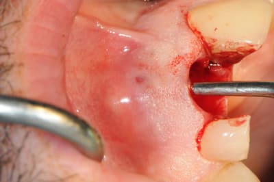 Dsc 0488 brjtxg - Eugenol