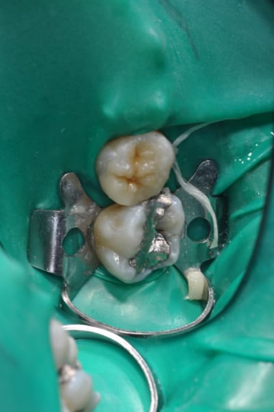 Dsc 0576 fpsntk - Eugenol