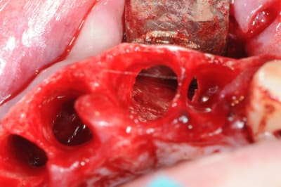 Dsc 0619 i1vkyv - Eugenol