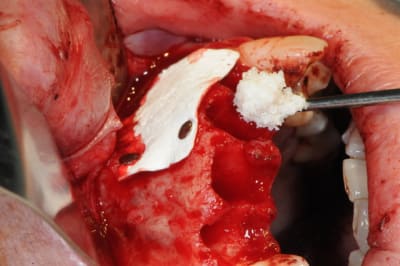 Dsc 0650 vdqz8c - Eugenol