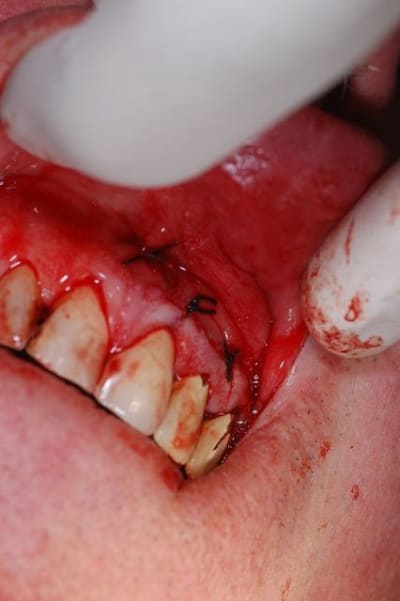 Dsc 1240  1024x768  mggv0r - Eugenol