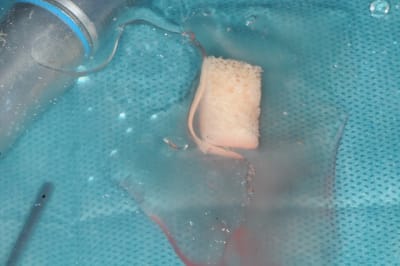 Dsc 1587 ruvhyz - Eugenol