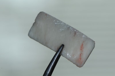 Dsc 1640 x5sg4c - Eugenol