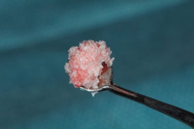 Dsc 1706 ioyfsy - Eugenol