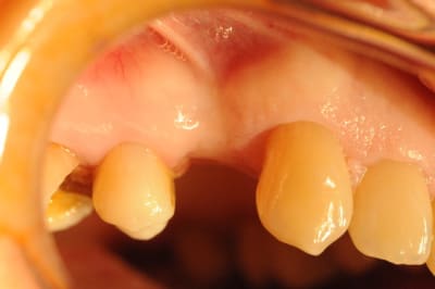 Dsc 1936 jwuctl - Eugenol