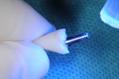 Dsc 2576 zceejo - Eugenol