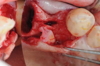 Dsc 3135 xmkyqj - Eugenol