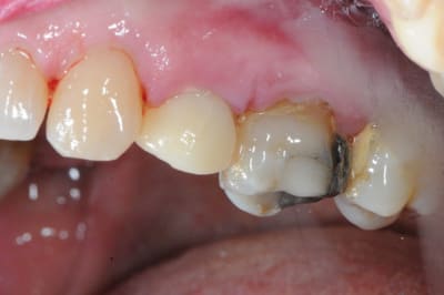 Dsc 3609 muwv7e - Eugenol