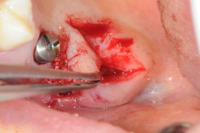 Dsc 3885 hjnb0n - Eugenol