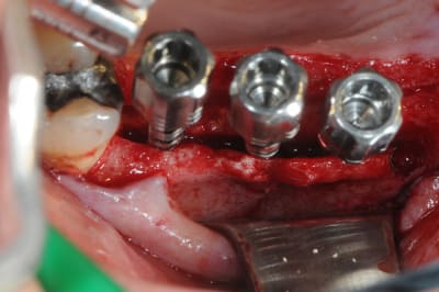 Dsc 4581 g84zty - Eugenol