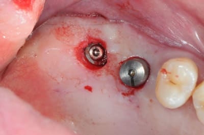 Dsc 4778 vjkdsm - Eugenol