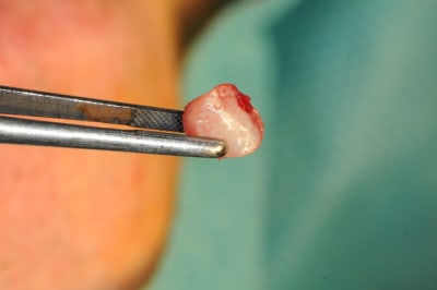 Dsc 4779 vm4ufa - Eugenol