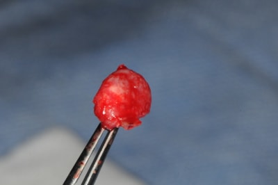 Dsc 4994 ckj8q2 - Eugenol