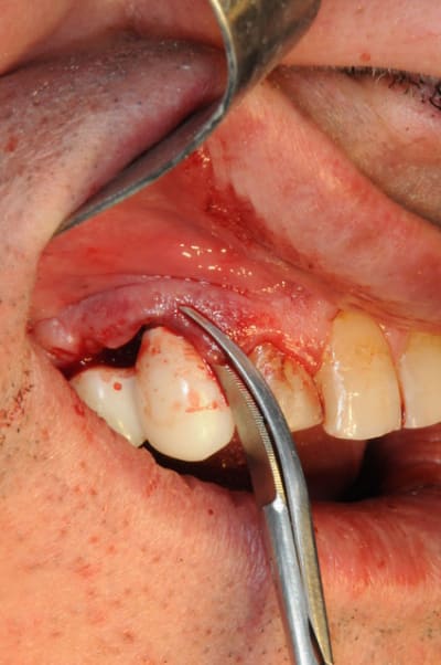 Dsc 5093 lhdqsv - Eugenol