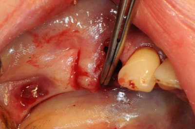 Dsc 5498 xkuisy - Eugenol