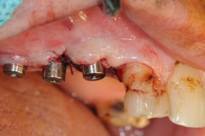 Dsc 5545 b1tzqm - Eugenol