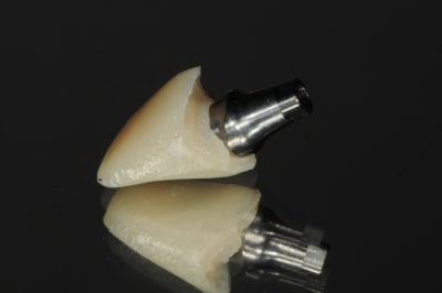 Dsc 5691 z7rxgb - Eugenol