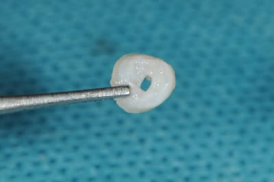 Dsc 5902 bg2nro - Eugenol