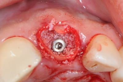 Dsc 6491 lqvraj - Eugenol