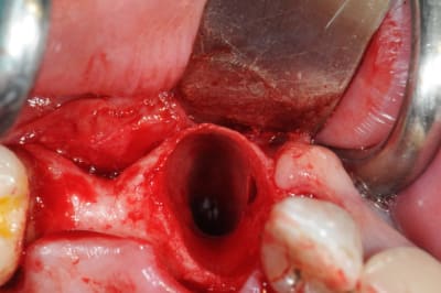 Dsc 6736 vhaqdb - Eugenol
