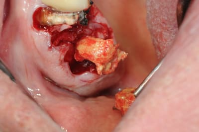 Dsc 6753 zkfxou - Eugenol