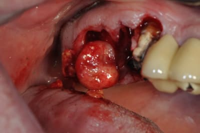 Dsc 6754 muqu5z - Eugenol