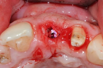 Dsc 6784 evpuee - Eugenol