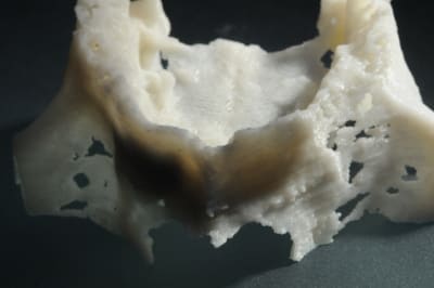 Dsc 6923 epo910 - Eugenol