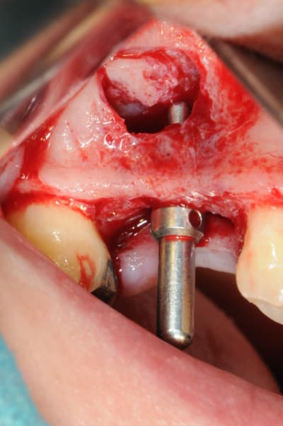 Dsc 7185 fbsobj - Eugenol