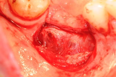 Dsc 7793 hhmbhv - Eugenol