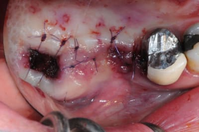 Dsc 8461 iynsy9 - Eugenol