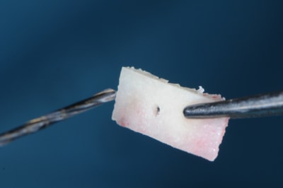 Dsc 9745 qbj91j - Eugenol