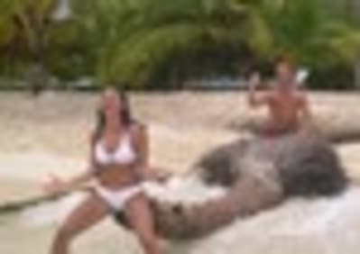 Doc lyonnaise iuwimt - Eugenol