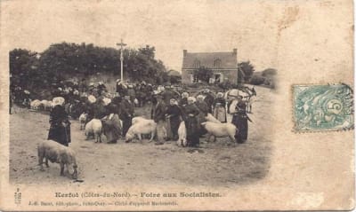 Foire aux socialistes cvrqqa - Eugenol