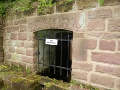 Fontaine trierweiler loywcx - Eugenol