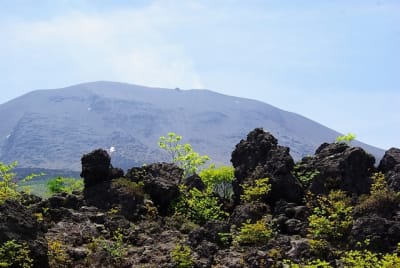 Gkz  5  syeytp - Eugenol