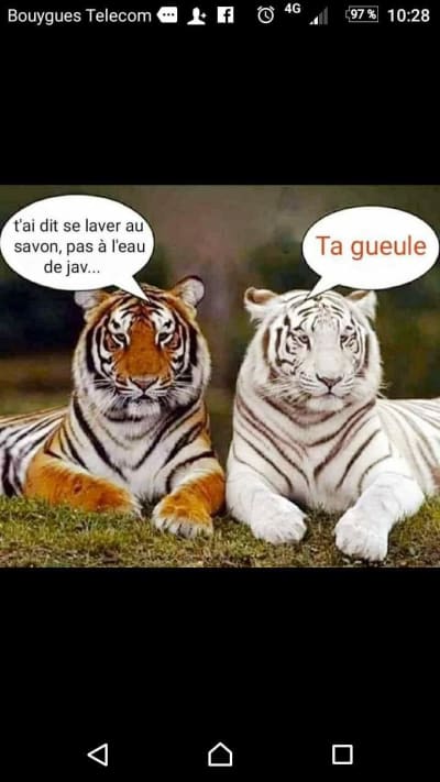 Img 20200408 wa0005 xak4rk - Eugenol