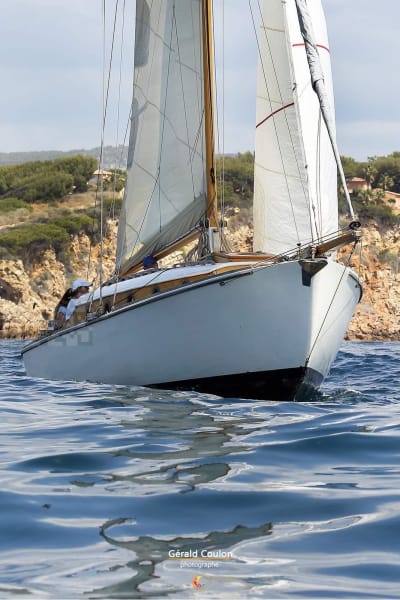 Img 20210828 wa0037 yiton6 - Eugenol