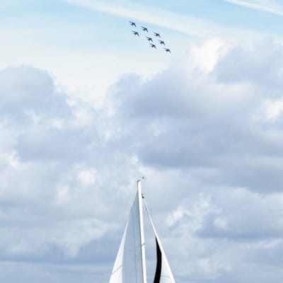 Imgp5207 500 scy4r6 - Eugenol